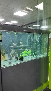 باشگاه بدنسازی آرکو 5
