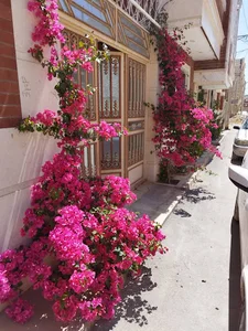 منزل معصومی