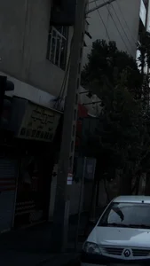 قصر ویتامینه 2