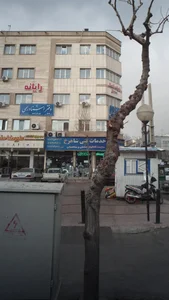 خدمات فنی شاهرخ 3