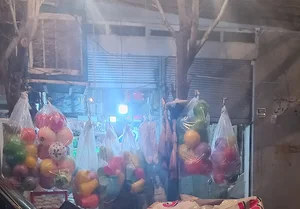 گل بانو