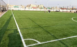 چمن مصنوعی ولایت