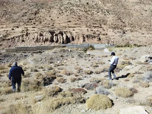 اداره جهاد کشاورزی فاروج