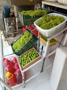 سبزیجات ایرانی