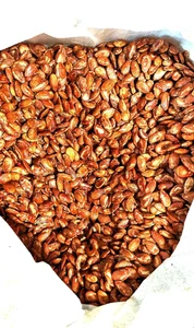 کارگاه شور کاری آجیل 4