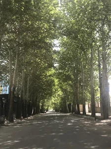 بنیاد علوم کاربردی رازی