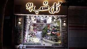 گل شب بو