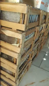 عسل و لبنیات ساوالان 2