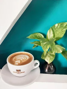 Cafe_ba.to کافه باتو