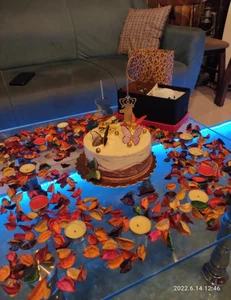 کافه ژیکو 2