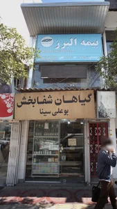 گیاهان شفابخش بوعلی سینا 2