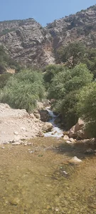 Noujian