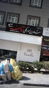 الماس نشان کاج 4