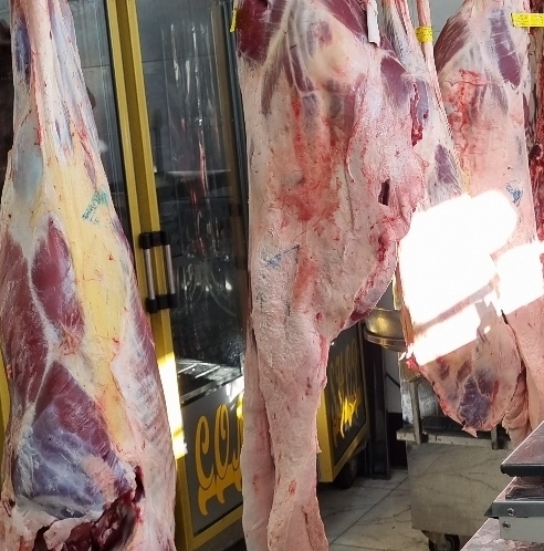 هایپر گوشت برتر