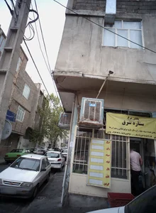 پخش مرغ ستاره شرق 2
