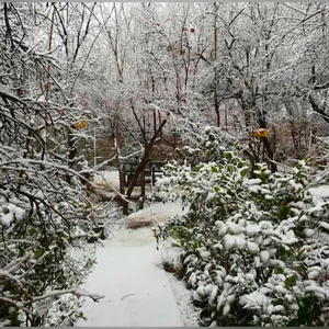باغ گل و گیاه مرشد