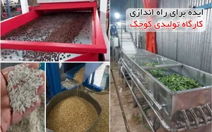 پرشین لنت