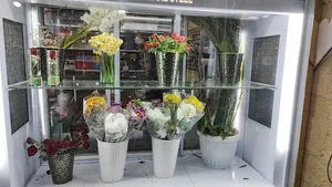 گالری گل وگیاه سنبل