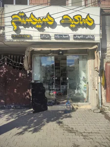 سعید سیستم