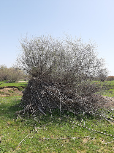 بیشه رماوند خوشنام