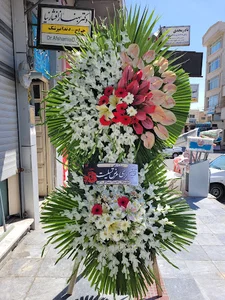 گلکده سیکاس