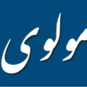تاکسی تلفنی مولوی