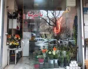 گل ناندینا 2