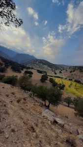 حیدر آباد