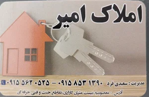 املاک امیر