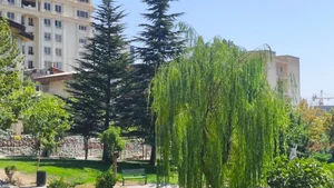 نمایندگی بیمه ایران تبریز کد 34357