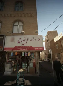 شوینده بهداشتی الینا