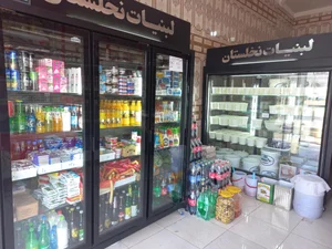 لبنیاتی نخلستان 3