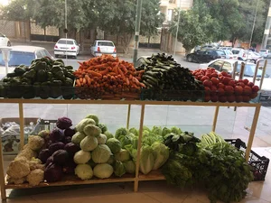 میوه فرهنگیان