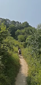 آبشار سنگ نو بهشهر