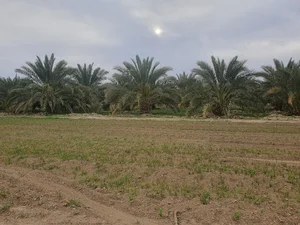 چاه آب کشاورزی