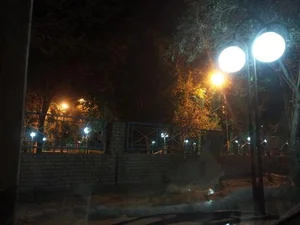 پارک زیتون 2
