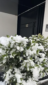 سالن زیبایی مینا میری