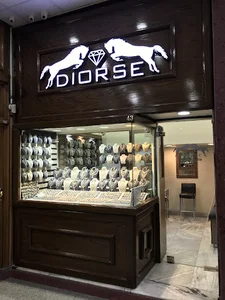 DIORSE Gallery