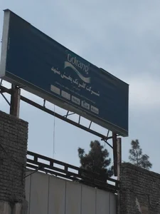 شرکت گلرنگ پخش