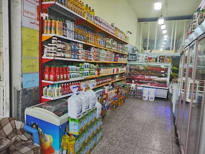 پروتینی کامکار(نمایندگی سولیکو کاله و گوشتیران)