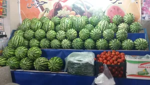 میوه فروشی اخوان 4