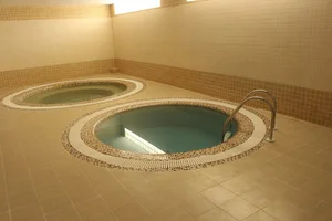 استخر ولیعصر