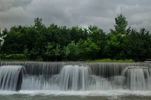 کولت بار