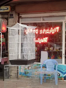 پت شاپ آناهیتا
