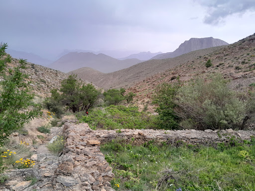 روستا مزرعه کیشان