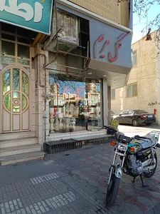 گل مریم