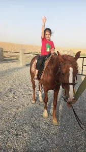 باشگاه سوارکاری