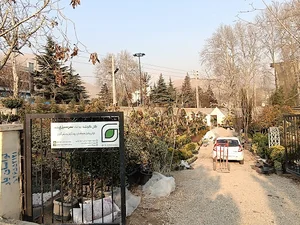 Golgoosheh