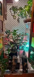 کافه نقطه دیدار 3