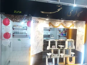 گالری منتخب